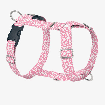 front view of harness front view of harness